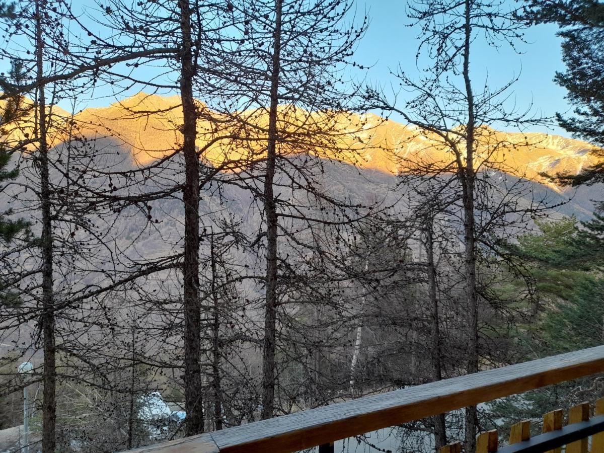 Apartamento Studio 4 couchages Auron Exterior foto